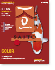 SAITO COLOR